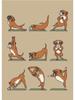 Modern Funny Cute Bulldog Cat Panda Yoga Gesture Poster And Print Canvas Painting Animal Nordic Wall Art Nursery Kidroom Decor