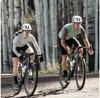 WTB Vulpine S TCS Light Fast Rolling SG2 Tubeless 700 x 45 Gravel-Reifen