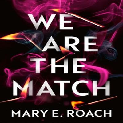 Wir sind das Streichholz von Mary E. Kakerlake Taschenbuch 9781662529429