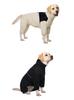 Waterproof & Windproof Full-Coverage Dog Jacket for Medium & Large Breeds