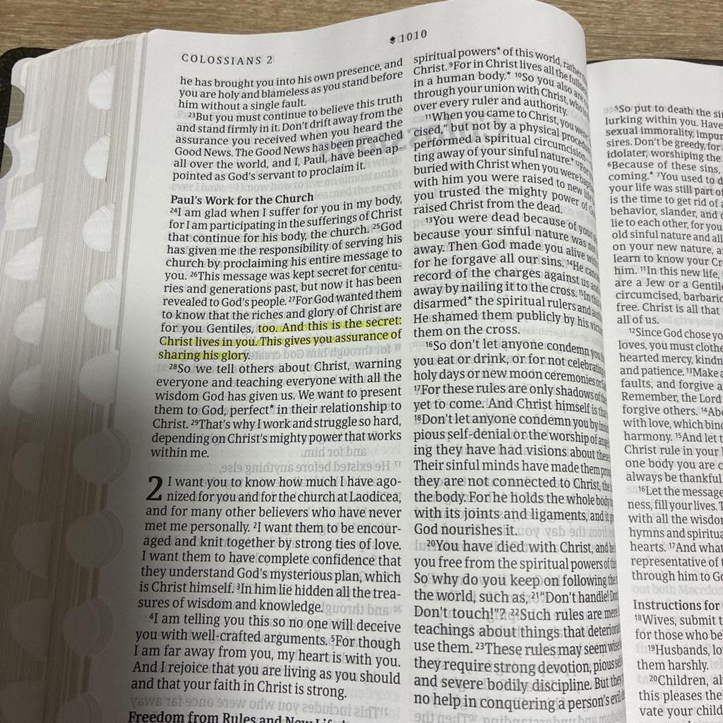 [USED] New Living Translation bible large print