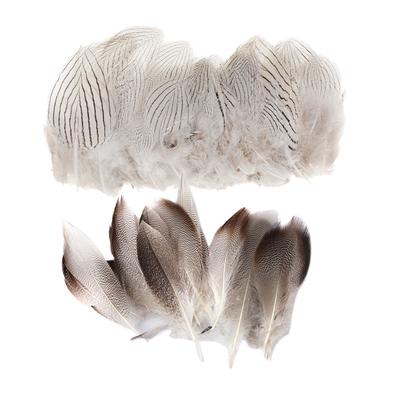 100pcs Pheasant White Feather For Home Decoration DIY Hats Costume 5-10cm