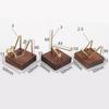 Brass Arm Wood Display Stand Holder for Specimens Agate Home Decoration