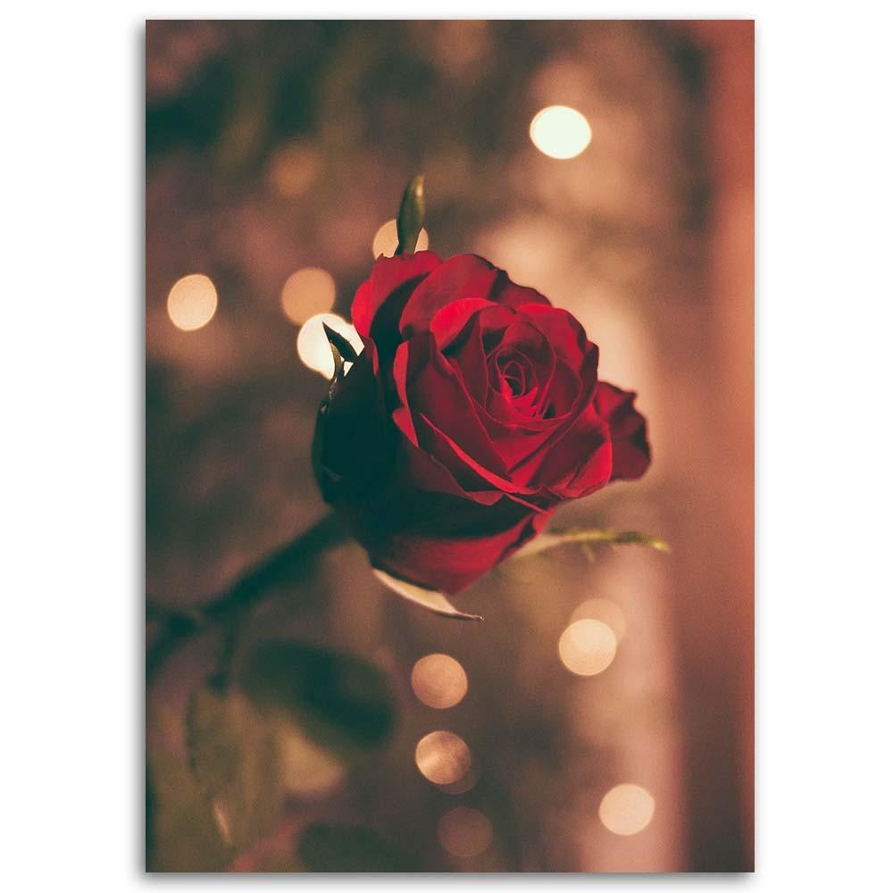 Canvas print, Red rose flower