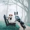 Czarne szelki dla psa małego truelove mocne mops s