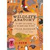 Wildtieranatomie: Die neugierigen Leben & Merkmale von Wildtieren auf der ganzen Welt