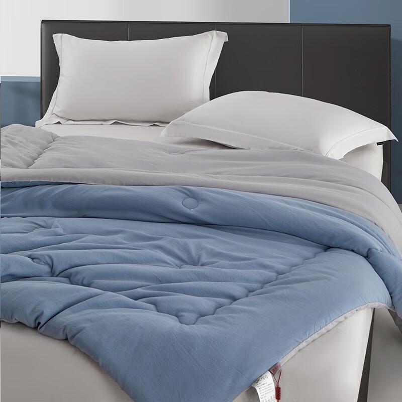 Tangna Elegant Soft Cloud All-Season Quilt