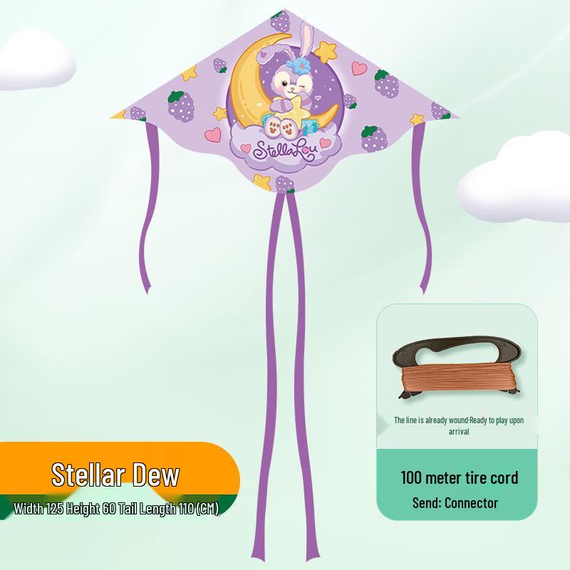 Duanyun Kids' Cartoon Triangle Kite Set
