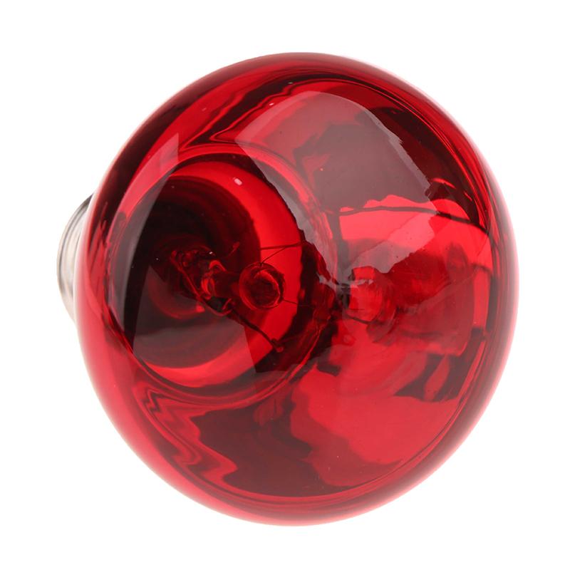 25/40/50/60/75/100W E27 Uva Poultry Bulb Infrared Night Light Day Poultry Heating Bulb For Plants Amphibians Reptile Pets
