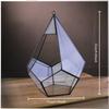 Micro Landscape Planters Moss Rainforest Aquariums Five-sided Diamond-shaped Glass Conservatories Aquatic Plant Vases
