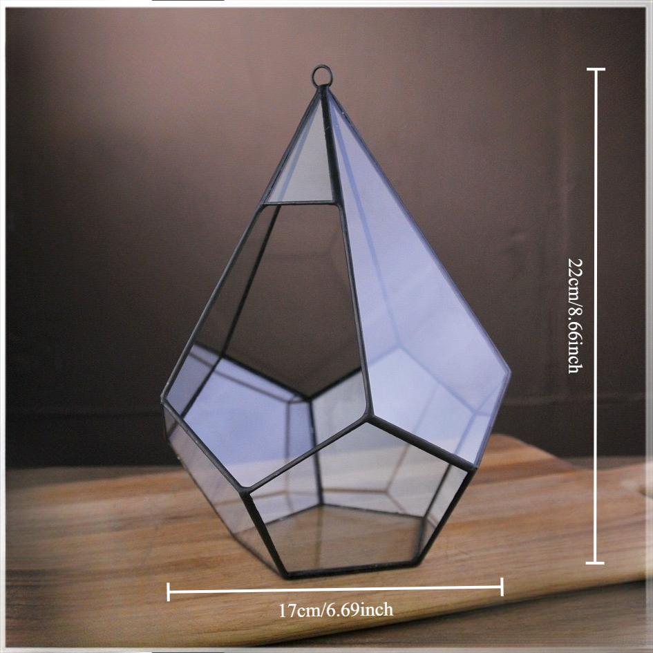Micro Landscape Planters Moss Rainforest Aquariums Five-sided Diamond-shaped Glass Conservatories Aquatic Plant Vases