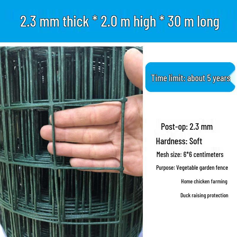 Rustproof Green Plastic-Coated Mesh Wire Fence for Chicken Enclosure