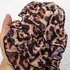 Europe, America and Foreign Trade Europe and America Leopard Print Bikini Three-piece Set Sexy Neck Swimsuit Swimsuit 2026