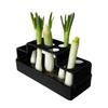 Scallion Planter Hydroponic Soil-Free Regeneration Planter Multi-Slot Scallion Regrowth Planter for Kitchen Countertop Window Sill Balcony