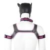 Erotic Adult Toys Set: Dog Headgear, Armband, Chest Strap, Neck Collar, Costume Props