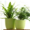 Meileke Colorful Self-Watering Resin Flower Pot - Free Shipping