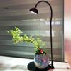 Micro Landscape Plant Growth Lamp with Timmer Height Adjustable Flicker Free Sunlight-like Spectrum Indoor LED Plant Lamp