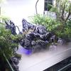 LED Buntes Aquarium Reptil Haustier Nebelmaschine Beleuchtung Reptilien Amphibien Beleuchtung Sprüher