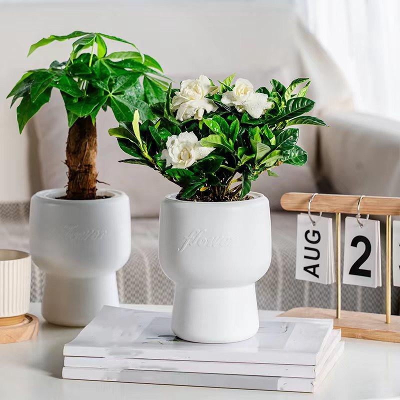 Flower Pot Self Watering Plastic Flowerpot Cotton Rope Watering Small Succulent Plant Pot Modern Decoration Home Bonsai Decor