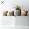 Homlly Nordic Cement Bonsai Green Flower Pot (Different Shapes)  ( X3PCS)