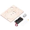 Electric Araneid DIY Toy Wooden Assemble Physics Experiment Educational Toy for Children