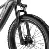 FREEDARE Saiga Electric Mountain Bike 250W BaFang Motor,48V20Ah Battery,with GPS Smart App Control