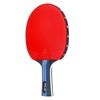 3-4 Star Table Tennis Racket Beginners To Intermediate Players Straight Grip Wooden Blade Double Pimple-in Rubber