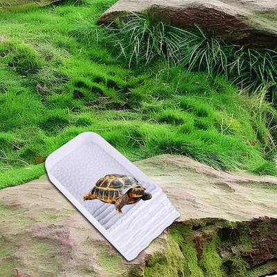 Sköldpadda Vattenskål Reptilskål, med Steg Ramp Praktisk, Hållbarhet, Matningsskål,