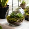 Fish Bowl Vase Clear Shatter-Resistant Aquarium Accessories Bubble Bowl Vase For Table Centerpiece Party Decorations Home Event