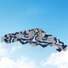 2 Channel Fixed Wing RC Powered 3.7mAh Outdoor Toy Glider for Boys Beginner