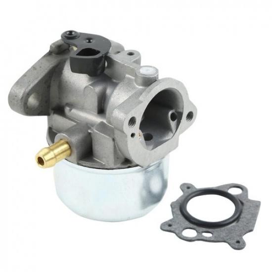 Carburetor For  498170 497586 799868 497347 799872 790821 Carb US