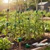 Gartenpflanzenstützstäbe Mit Sicherheitskappen Zur Befestigung von Ranken Und Bambus Sichere Kantenabdeckung