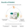 Himalaya Shallaki Tablets For Joint Health And Mobility Support, Natural Comfort Supplement, 60 Tablets