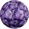 Austria Wien FC Size 5 Standard Football Durable Training Match Soccer Ball for Adult Outdoor Sports