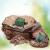Creative Resin Hideout Cave for Reptiles Perfect for Turtles Snakes and Frogs Enhances Terrarium Environments