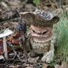 Feen Pilz Monster Schamane Zauberer Troll Harz Gartenornament Hof Rasen Außen Dekoration