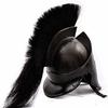 Spartan Helmet King Leonidas 300 Movie Steel Armor Cosplay LARP Wearable Display Helmet