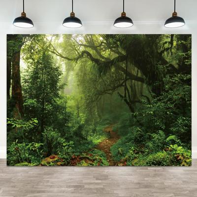 Accesorios para fotos de estudio – Fondos