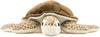 Calorata Loggerhead Sea Turtle Plush Toy (Medium Size/Soft Touch) Realistic Turtle Sea Creature Toy Doll Gift Present Birthday (Twice Tested) / Christ