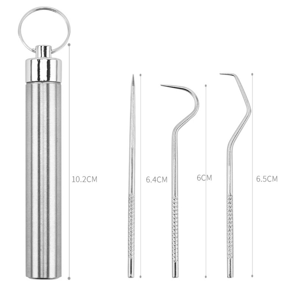 Oral Cleaning Tool Tooth Flosser Seal Storage Box Stainless Steel Toothpick Set Keychain Holder Toothpick Pocket Set Tooth Pick