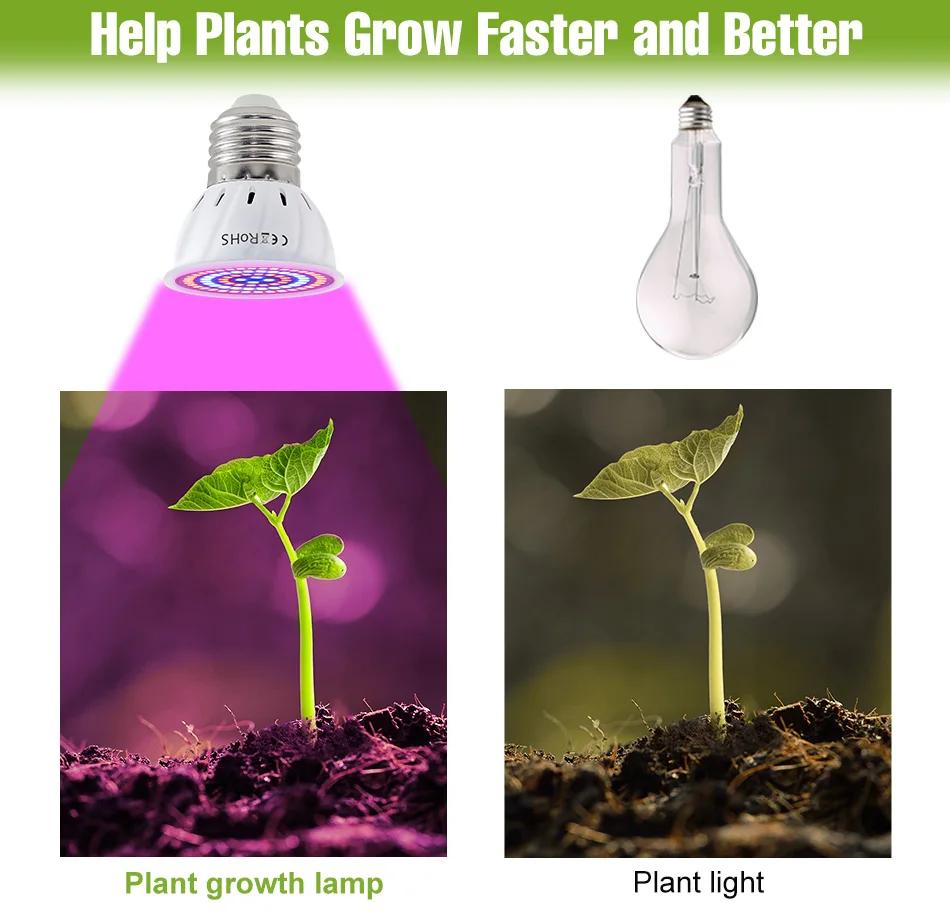 E27 LED Plant Grow Lights GU10 220v Full Spectrum Indoor Hydroponics Flower Seeds Promote Growth Vegetables Cultivation LampE14