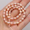 1String, A Natural Freshwater Pearls, Handcrafted Rice-shaped Pearl Beads for DIY Necklaces, Jewelry Making Supplies 36cm