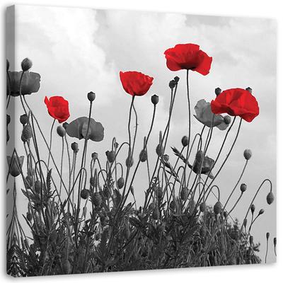 Canvas Print, Red Poppy Flowers