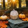 2Pcs/Set Pumpkin Decorations Fall Decor Table Centerpiece Indoor Autumn Farmhouse