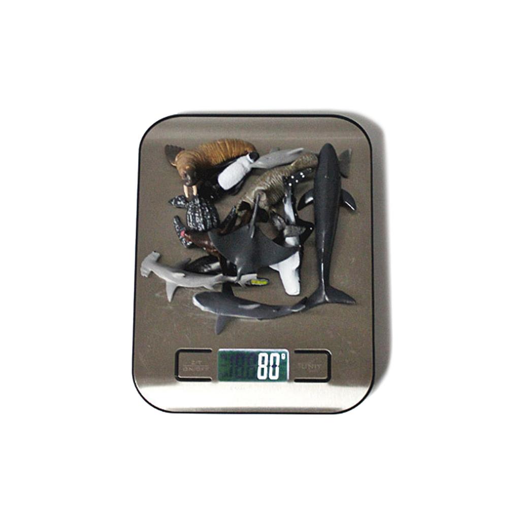 Mini Sea Creature Ocean Animal Figures Toy Plastic Small Tiny Marine Animal Figure Multipurpose Montessori Toy Decor