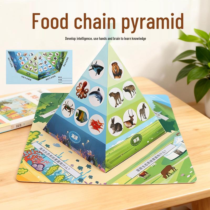 

Kids DIY Science Pyramid Kit: Creative Handicraft for Kindergarten & Primary School