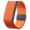 For Whoop 5.0 Strap, Nylon Magnetic Elastic Replacement Wristband, Adjustable Sports Fitness Tracker Band