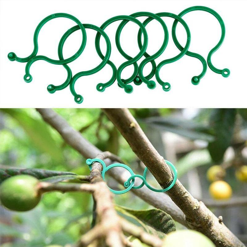 100pcs Horticultural Plastic Fixing Buckle Tool, Vine Hook Climbing Vine Buckle, Convenient Stem Binding Bracket Accessories