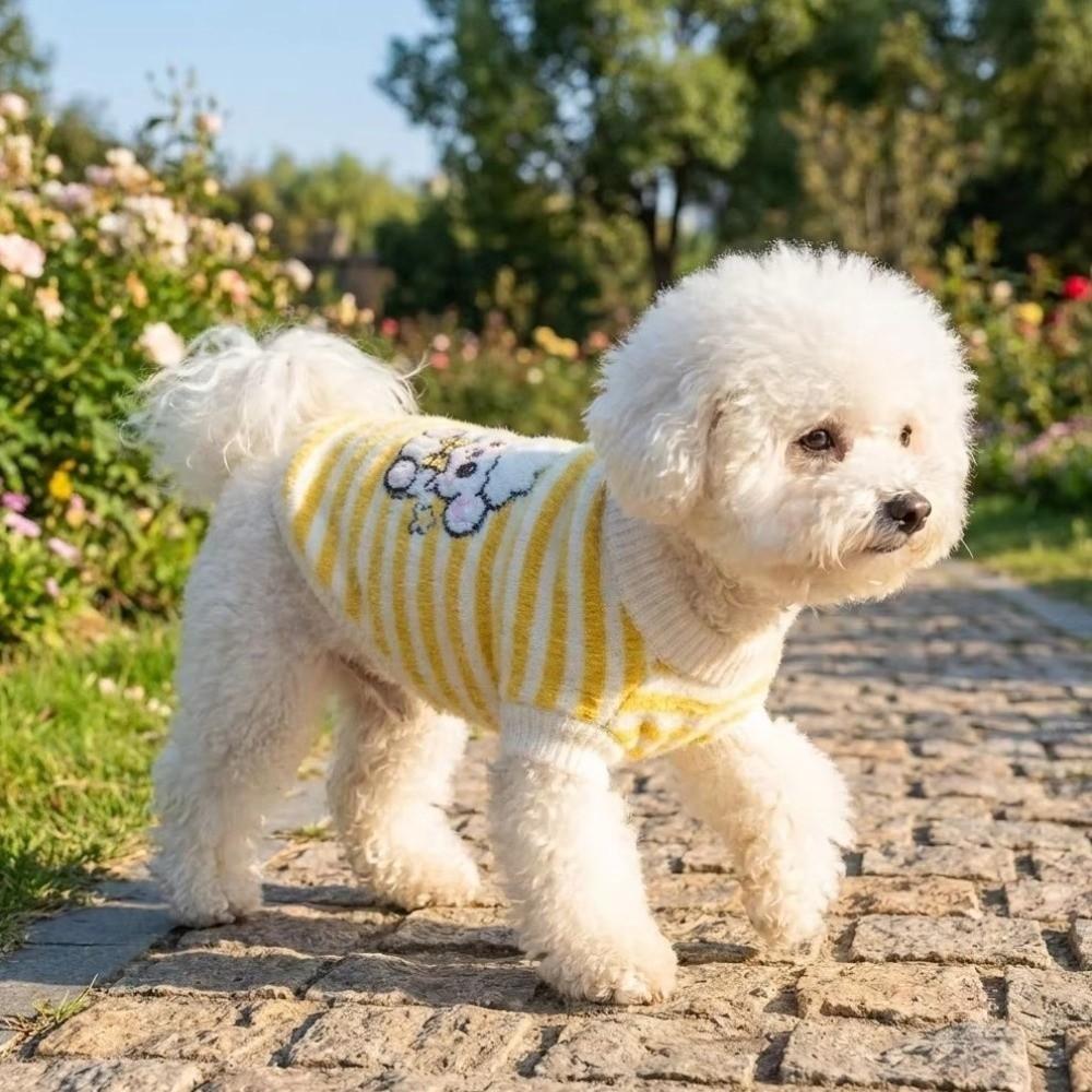 Two Legged Pet Warm Sweater Cartoon Pattern Pet Knit Sweater Fashion Striped Dog Sweater  Puppy