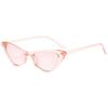 Retro Cat Eye Sunglasses Women Fashion Sunglasses Small Frame Sunglasses